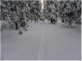 Grahovše - Planina Zgornja Konjščica